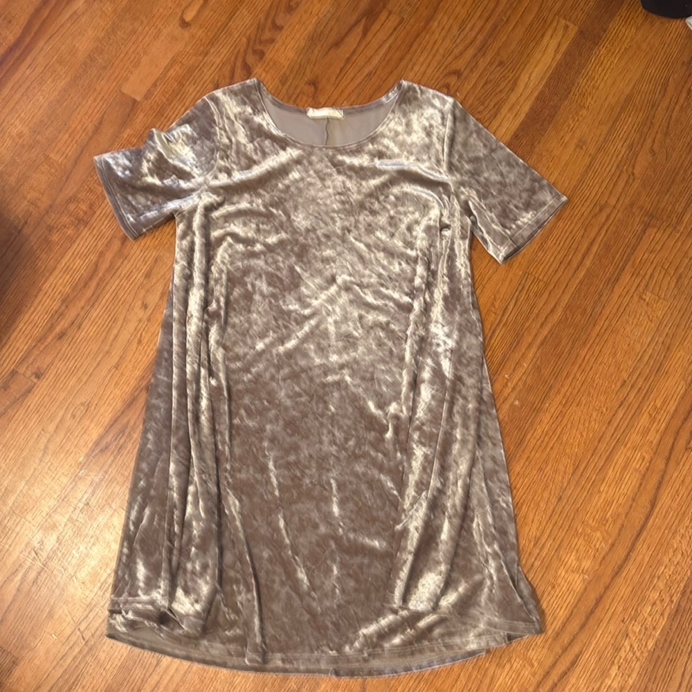 Molly Green dress, small, dark champagne, velvet like